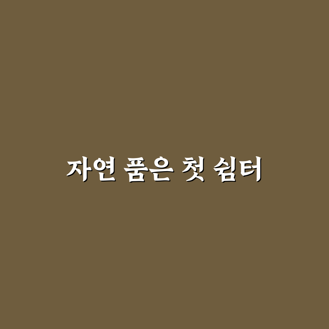 대둔산 캠핑장 방문 후기, 자연과 가까워서 좋았어요