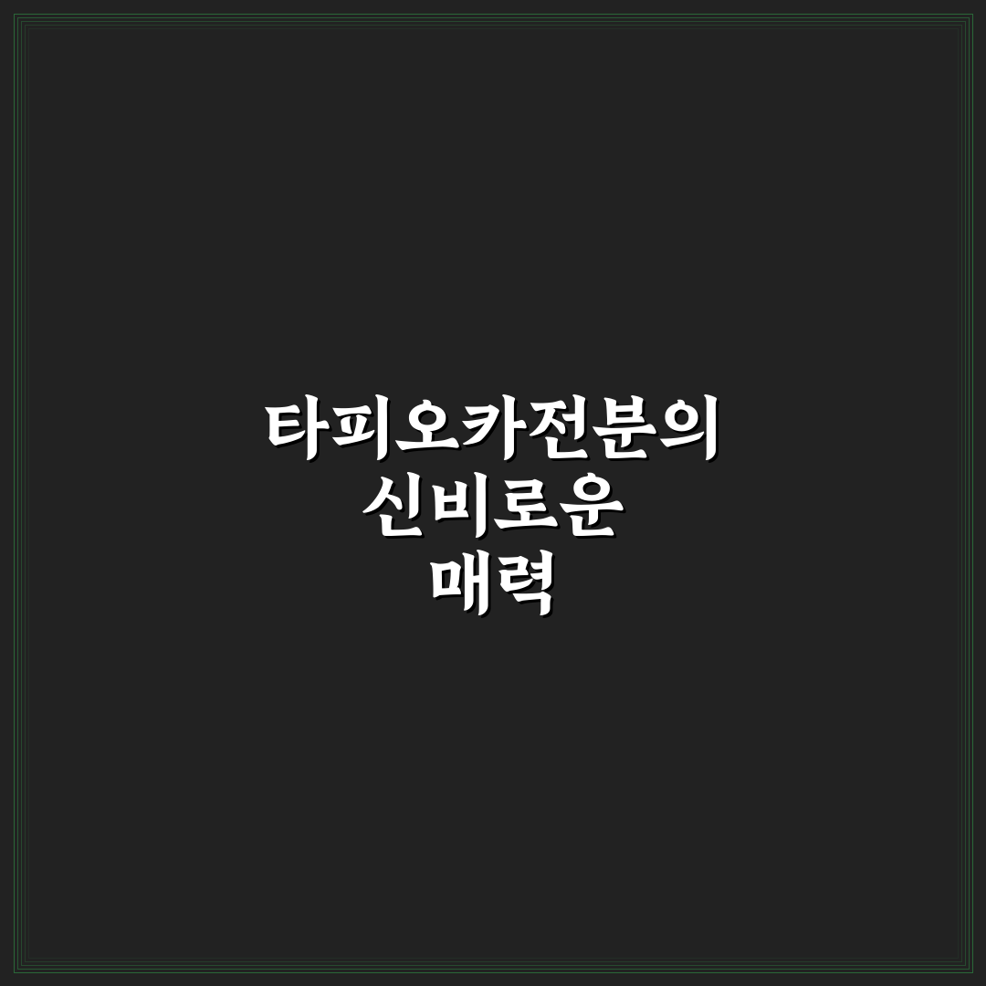 타피오카전분 파는곳 후기, 직접 이용해보니 알게 된 점
