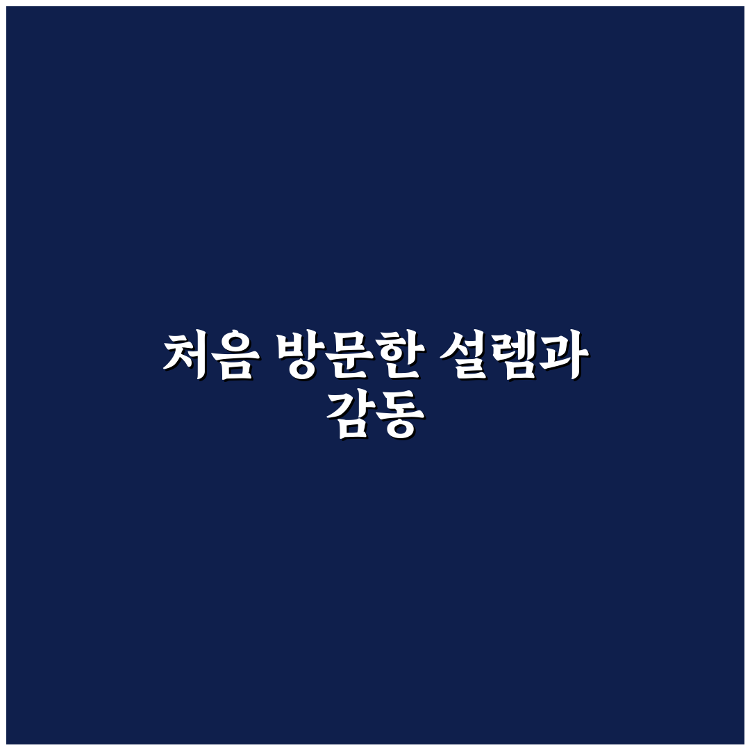 철산 김태완 스시 방문 후기, 조용한 분위기에서 맛본 경험
