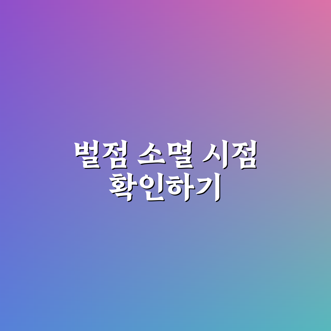 벌점 소멸시키는 방법과 기간 계산 쉽게 이해하기 5포인트 핵심가이드