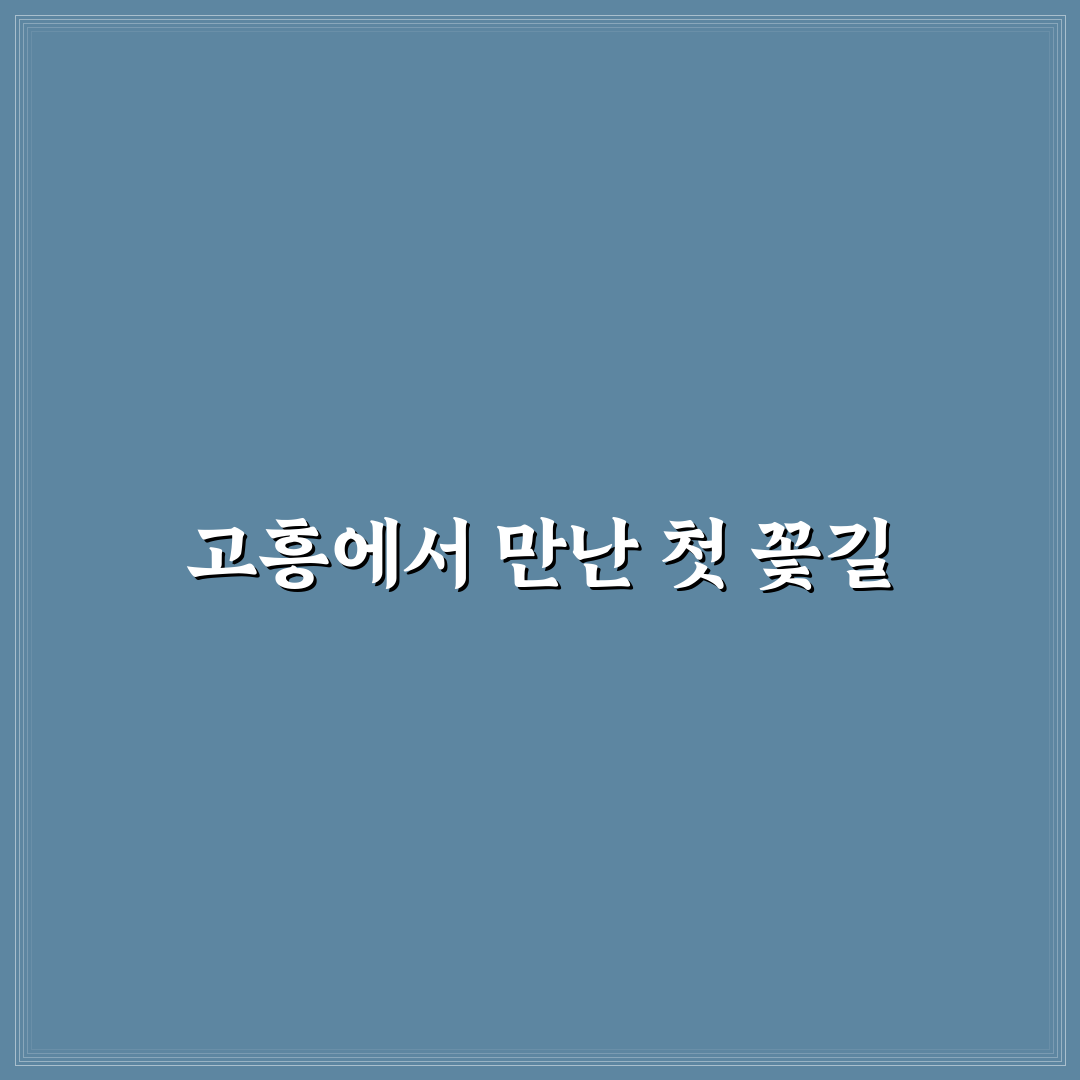 고흥 수국 개화시기 방문 후기, 직접 가보니 어땠는지