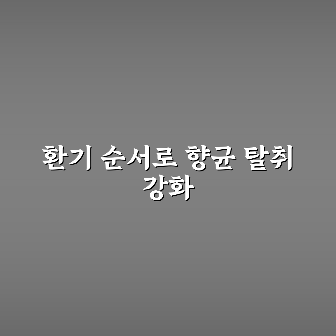자동차 실내 향균 탈취 셀프로 할 때 환기 순서 5포인트 핵심가이드