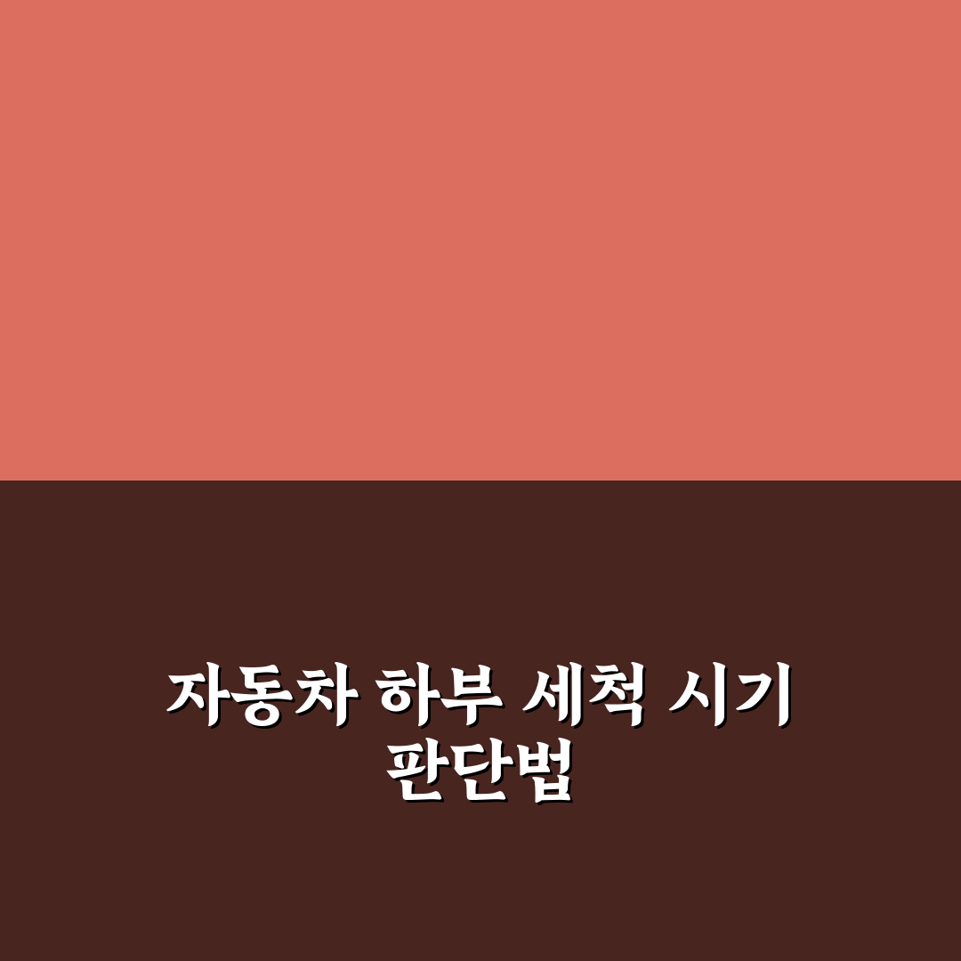 자동차 하부 세차 필수 시기와 계절별 세척 주기 5가지 체크포인트 핵심가이드