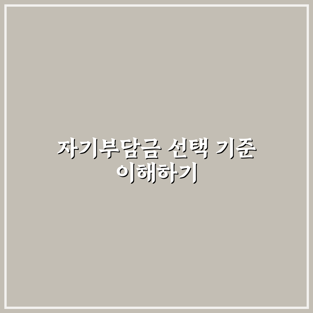 최소 20만원 최대 50만원 법칙 자기부담금 5가지 체크포인트 총정리