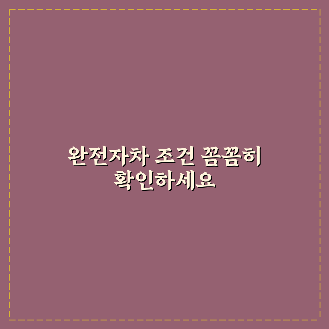 제주도 렌터카 보험 비교 시 완전자차 기준 5가지 체크포인트 총정리