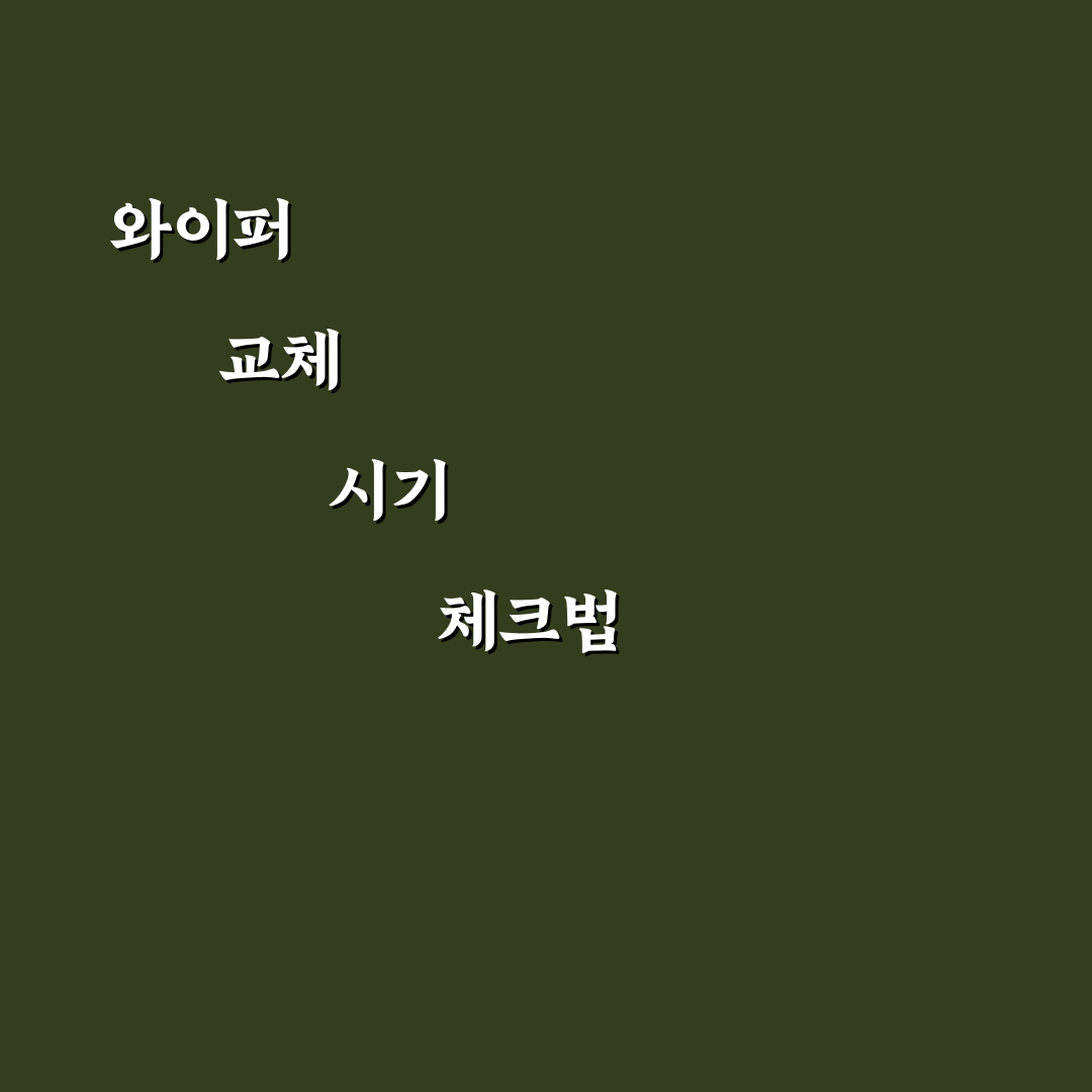 와이퍼 셀프 교체 주기와 소음 줄이는 방법 5가지 핵심가이드