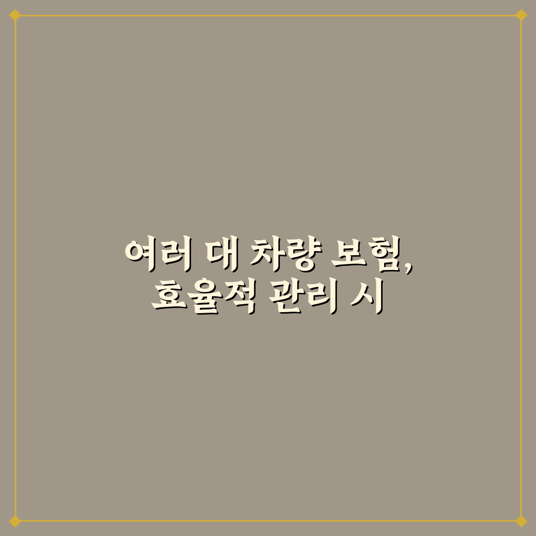 차량 여러 대일 때 보험 관리 효율 높이는 가입 방법 5가지 체크포인트 총정리
