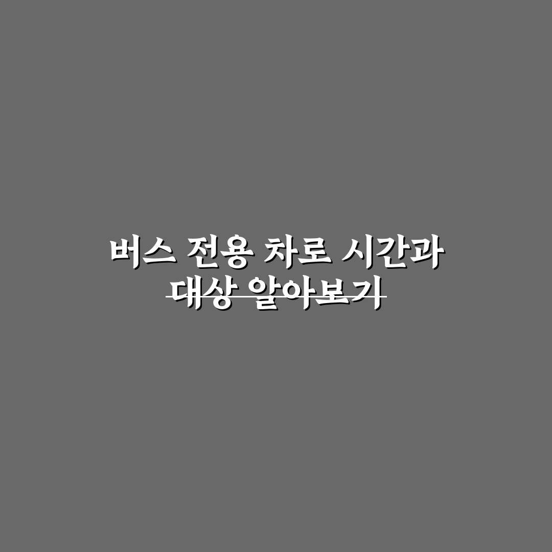 버스 전용 차로 시간대와 진입 가능한 차량 5가지 체크포인트 총정리