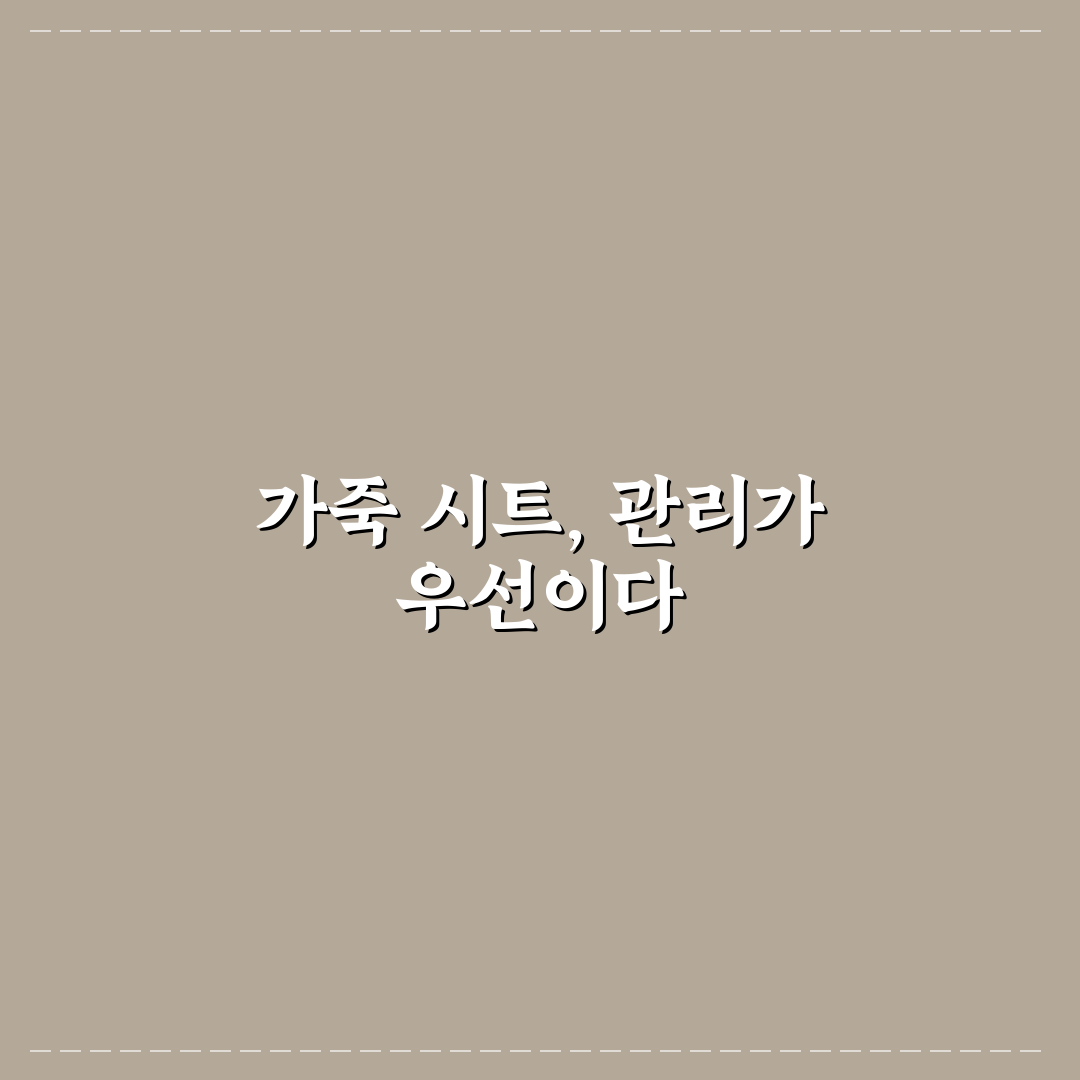 자동차 시트 가죽 종류 비교로 관리 편한 재질 5가지 핵심가이드