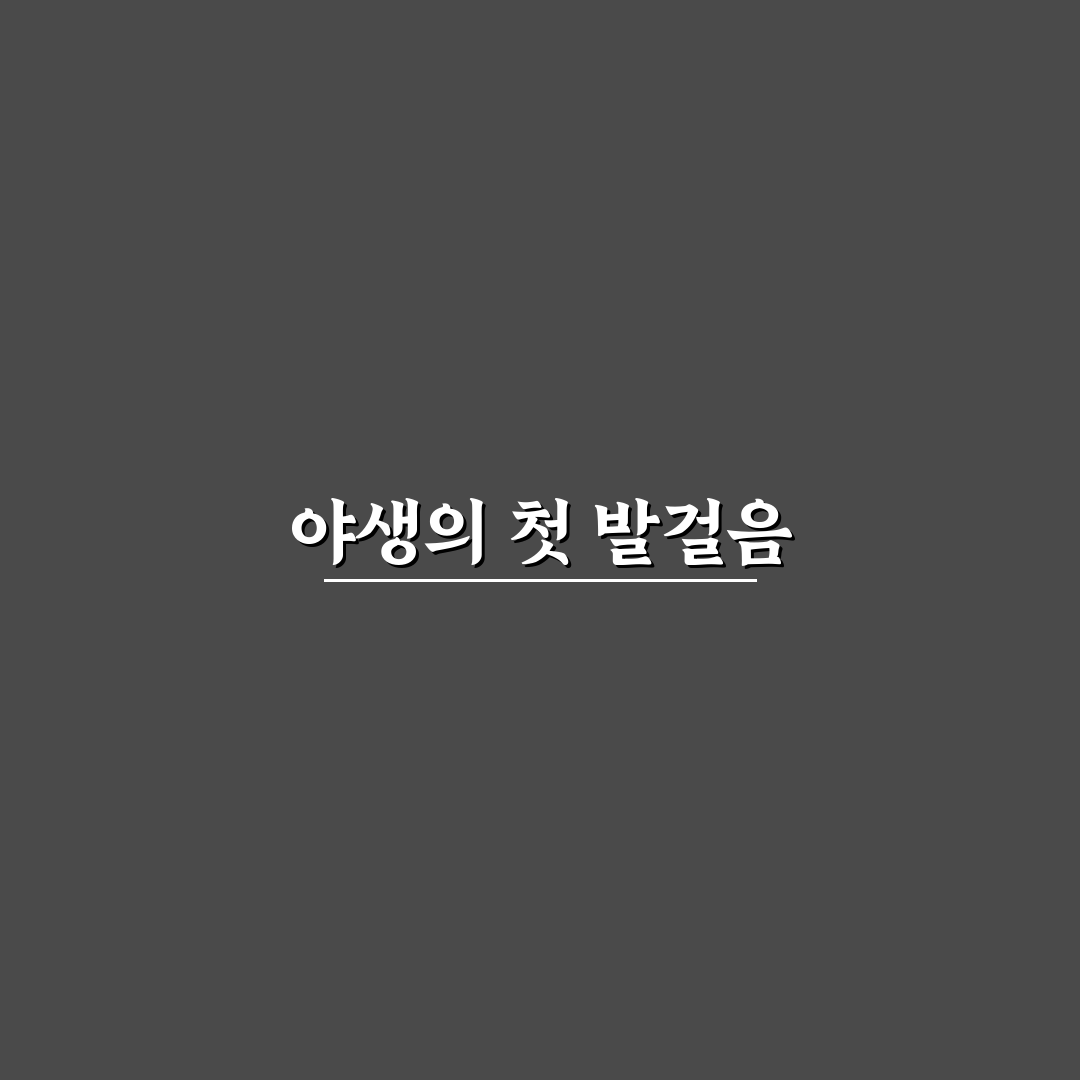 애니멀 킹덤 시즌 1 리얼리뷰, 직접 보니 느낀 점