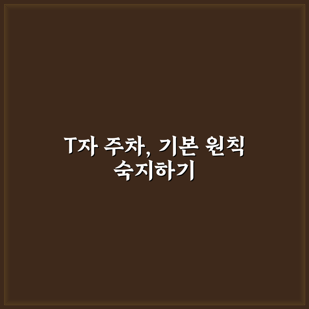 기능 시험 T자 주차 공식과 기준선 맞추는 요령 5포인트 총정리