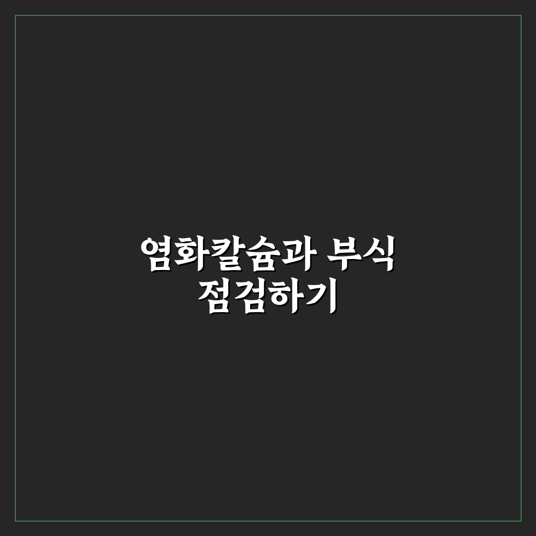 염화칼슘 제거 하부 세차 안 하면 생기는 부식 문제 5가지 체크포인트