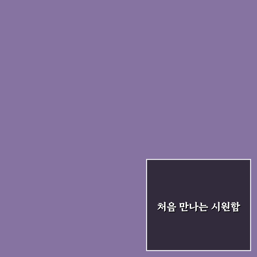 포몽드 쿨매트 사용 후기, 실제 써보니 어땠는지