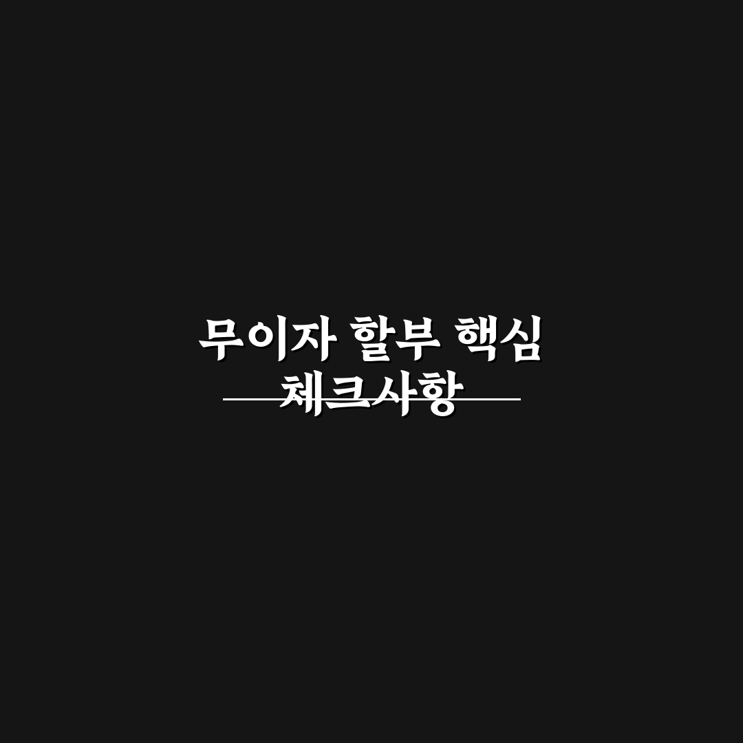 무이자 할부 가능한 차종 찾을 때 꼭 볼 조건 5가지 핵심가이드