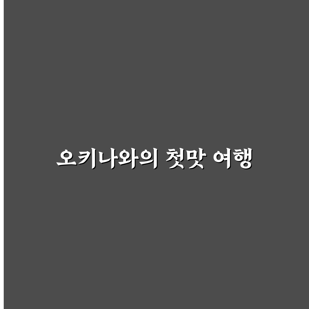 오키나와 하마스시 방문 후기, 직접 가보니 분위기와 맛은