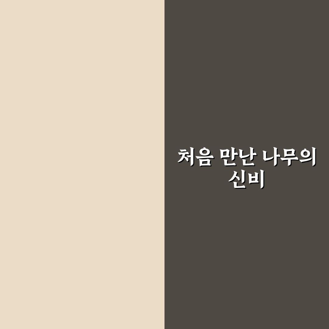 정향나무 묘목 직접 심어보니 자라는 속도는 어땠는지 후기
