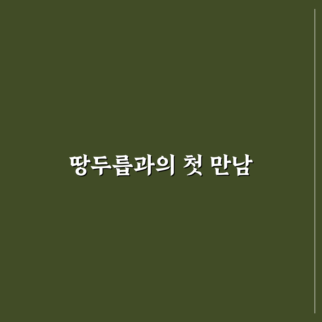 땅두릅 심는 시기 직접 알아보니 적절한 타이밍은?