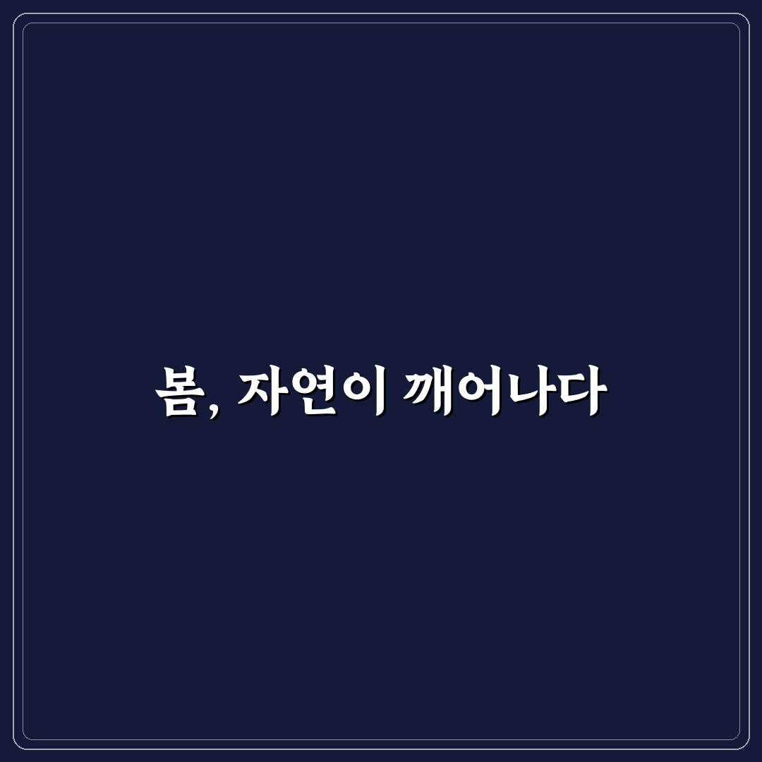정선 데이지 축제 방문 후기, 직접 가보니 풍경과 분위기