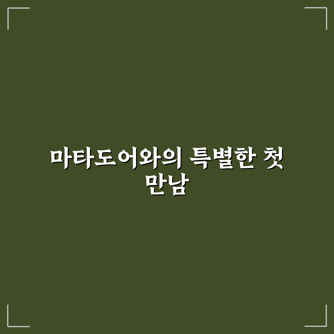 마타도어 유래 직접 알아보니 흥미로운 뜻과 배경