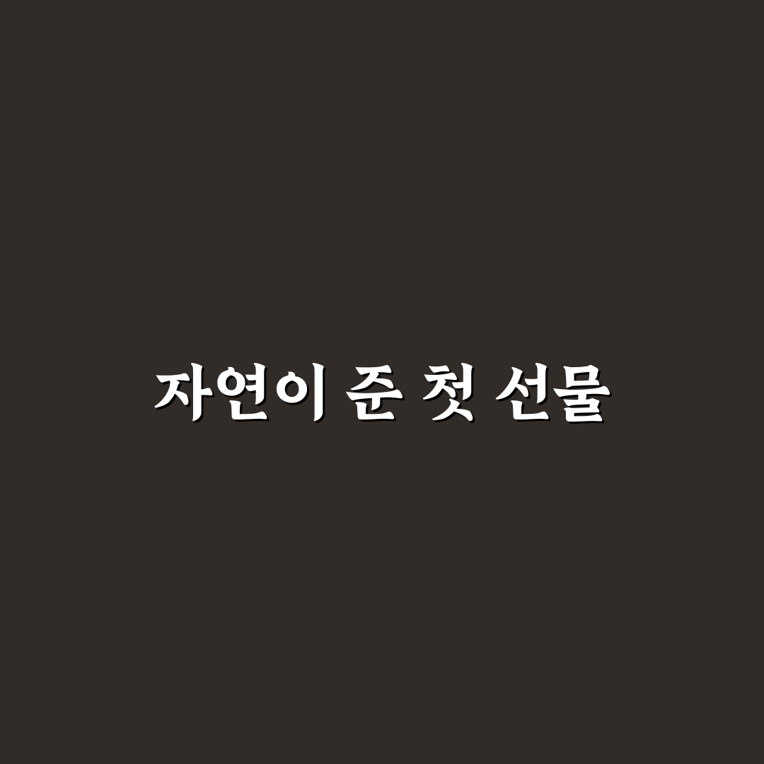 이팝나무 효능 직접 알아보니 일상에 미친 영향