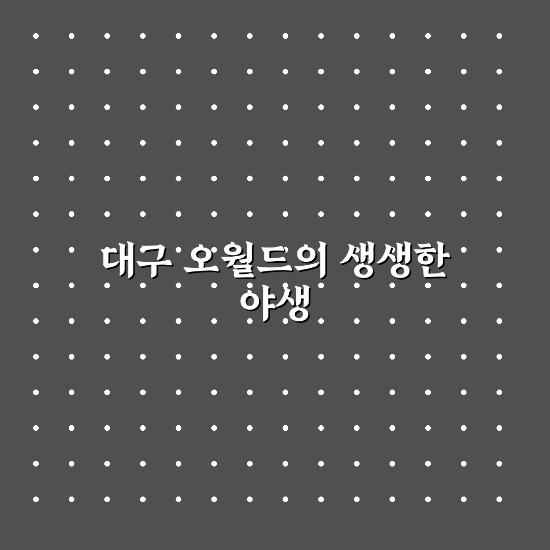 대구 오월드 늑대 방문 후기, 실제로 본 모습은 어떨까