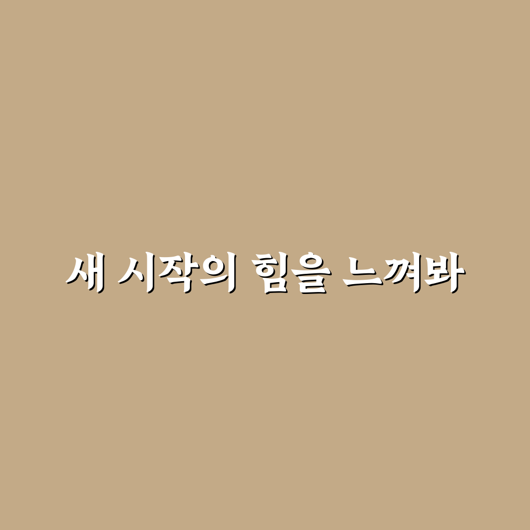 실업급여 신청 후기, 취업까지 경험해보니 알게 된 점