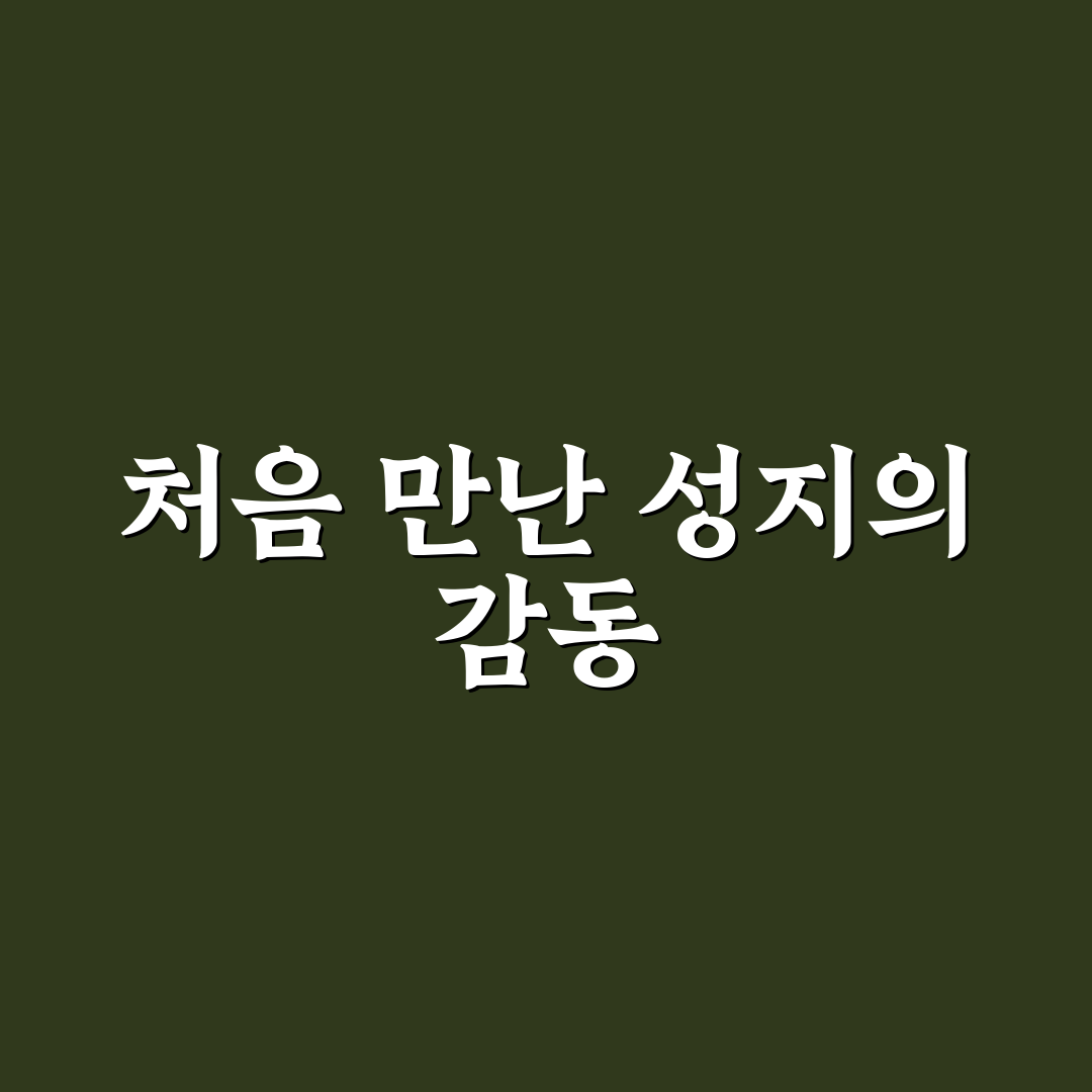 천호성지 미사시간 직접 알아보니 편리했던 점들
