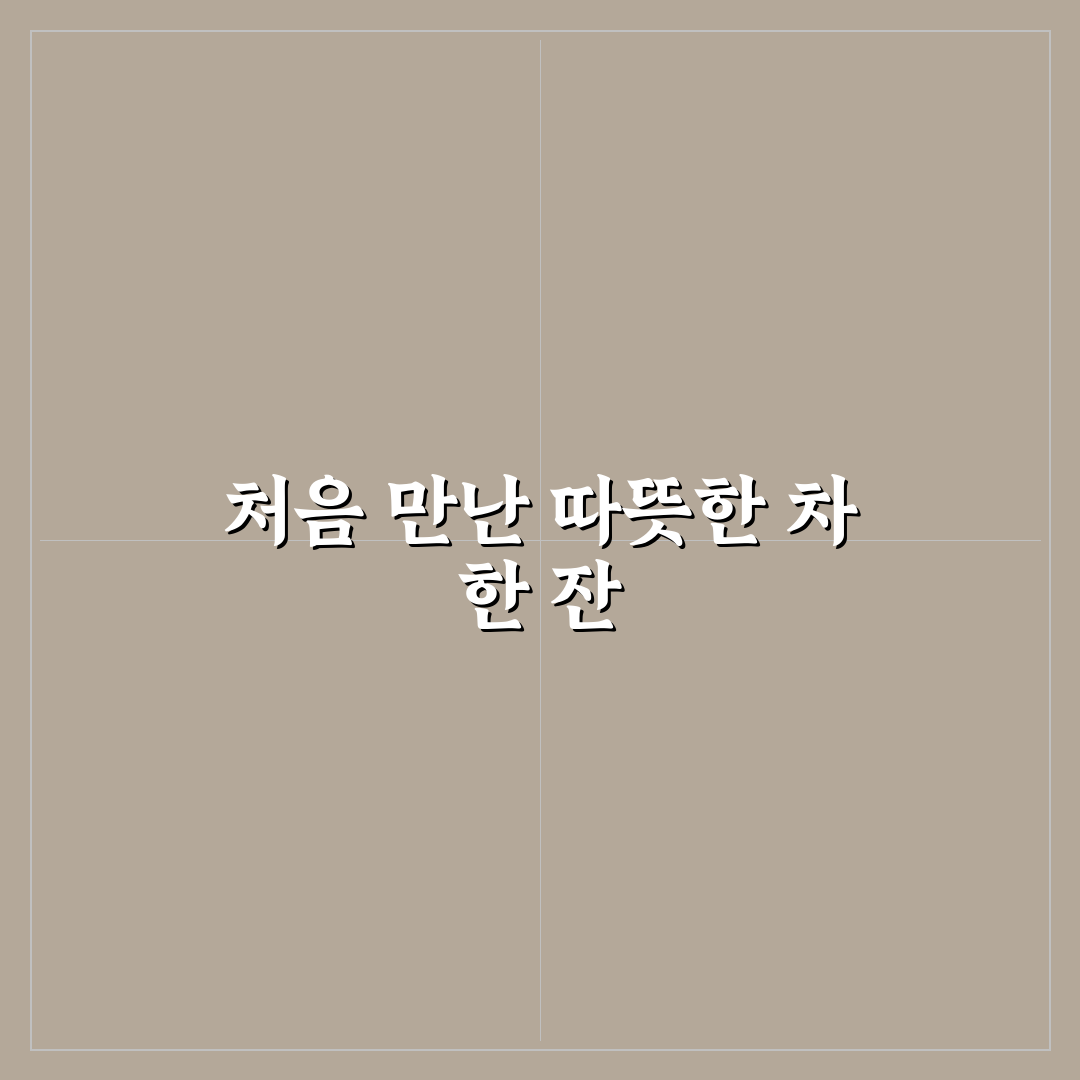 캐모마일 국화차 비교, 직접 써보니 차별점은 무엇일까
