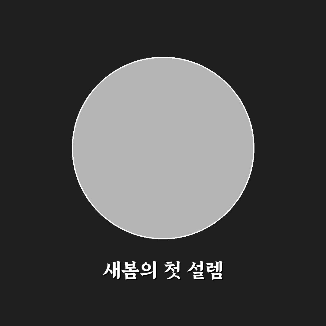 장미꽃 필 무렵 축제 방문 후기, 직접 가보니 분위기는 어땠는지