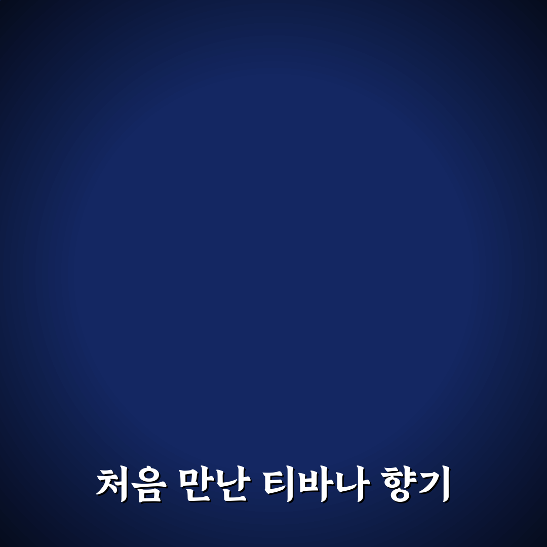 티바나 히비스커스 사용 후기, 직접 써보니 알게 된 점