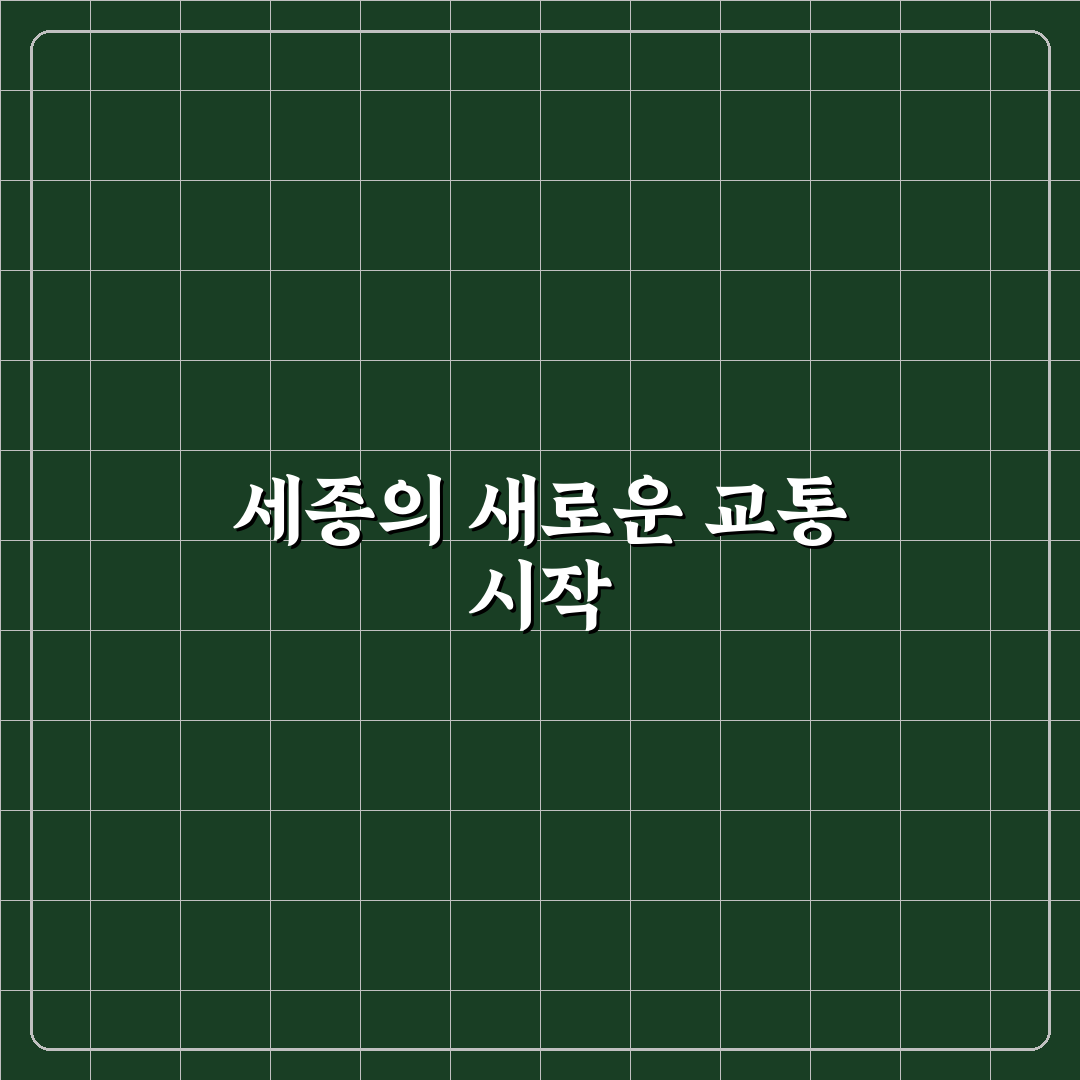세종 도시교통공사 이용해보니 알게 된 점들