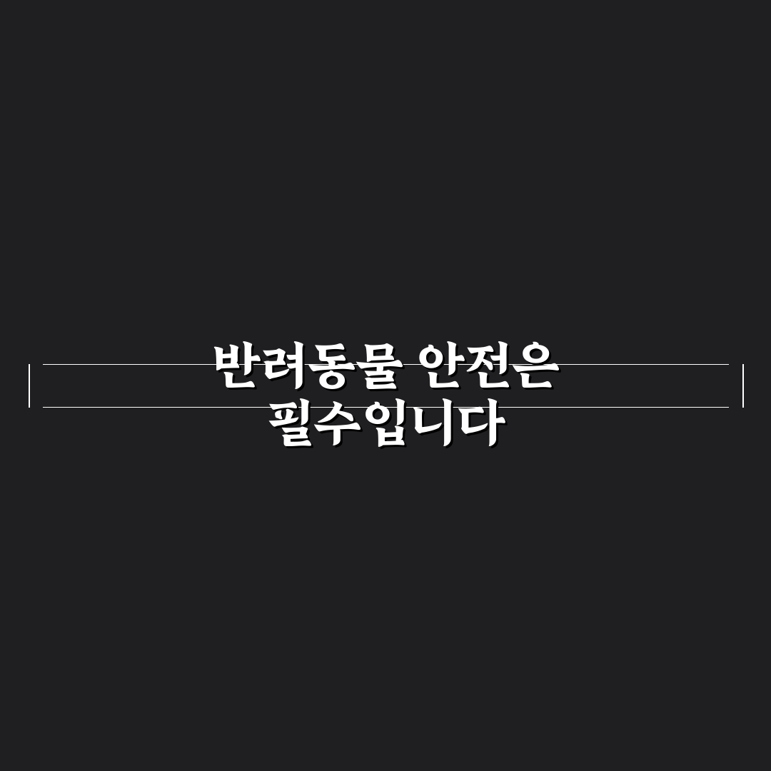 반려동물 운전석 동반 금지 이유와 안전 이동 방법 5가지 핵심가이드