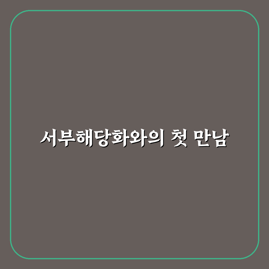 서부해당화 가격 직접 알아보니 변동 이유가 궁금해졌어요