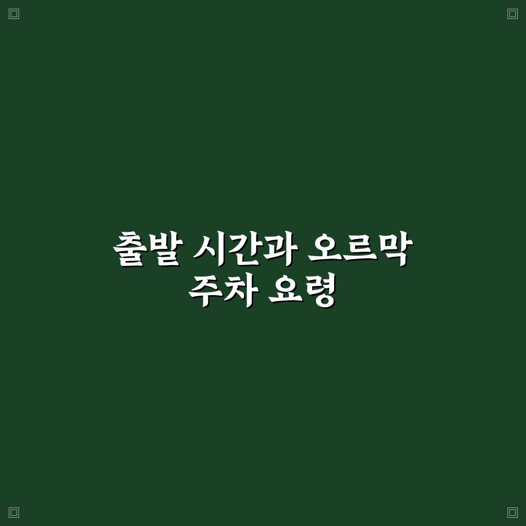 오르막길 밀림 방지 기능 없을 때 출발하는 요령 5가지 핵심가이드