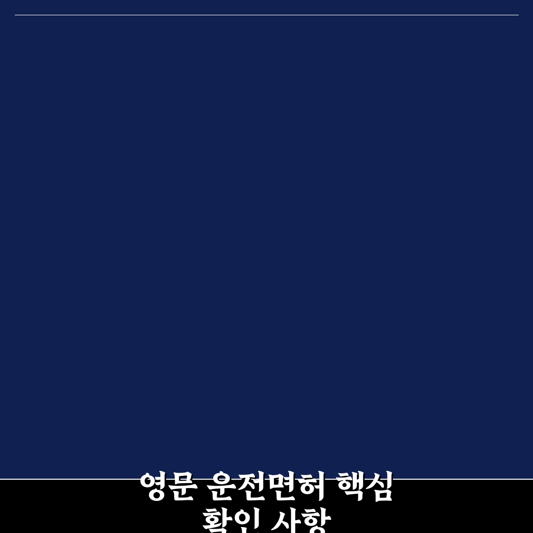 영문 운전 면허증 사용 가능 국가와 주의사항 5가지 핵심가이드