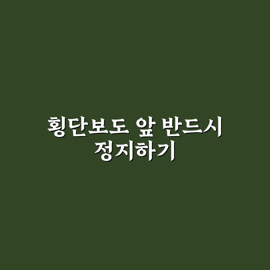 횡단보도 앞 일시 정지 꼭 해야 하는 상황 5가지 핵심가이드