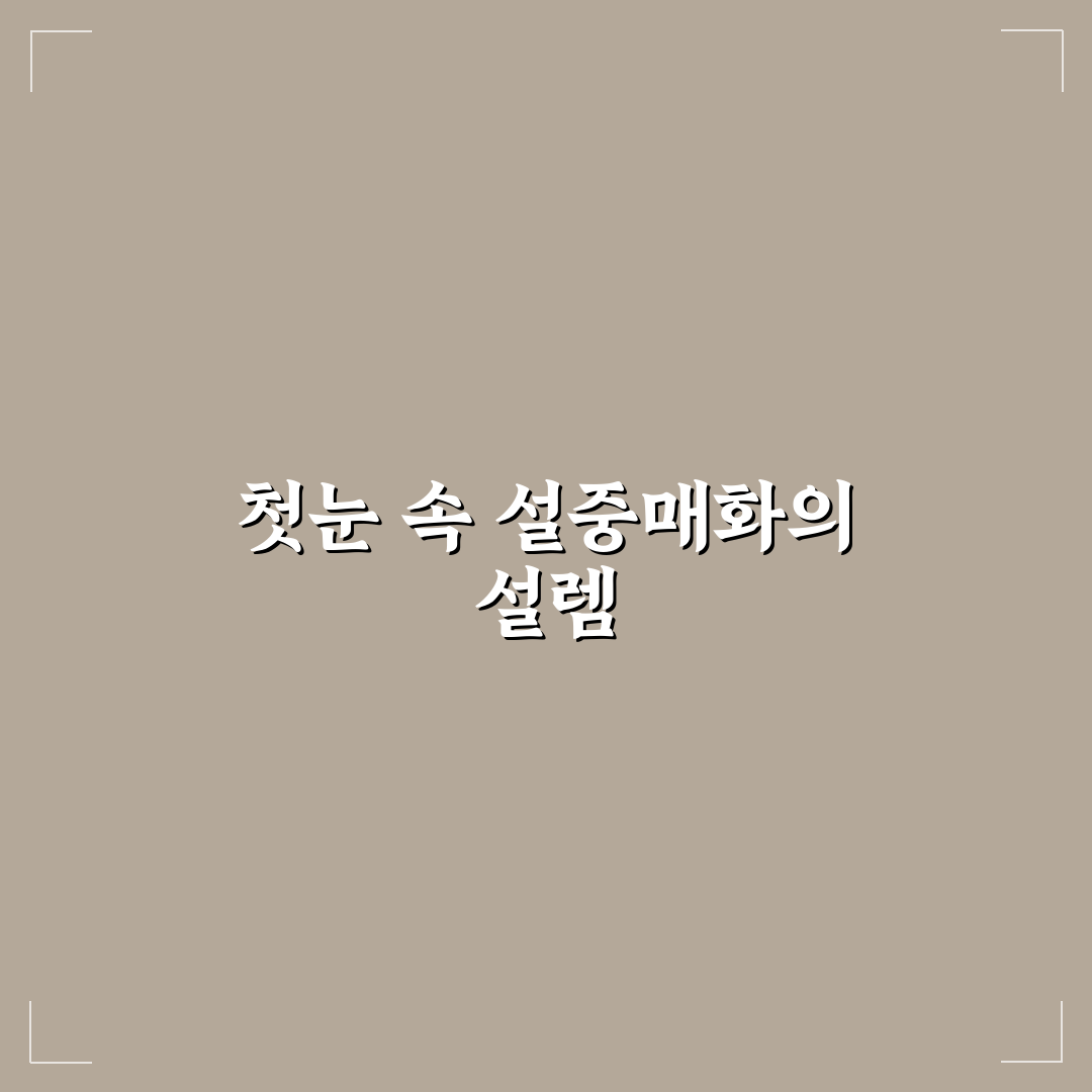 설중매화 사용 후기, 직접 마셔보니 느낀 점들