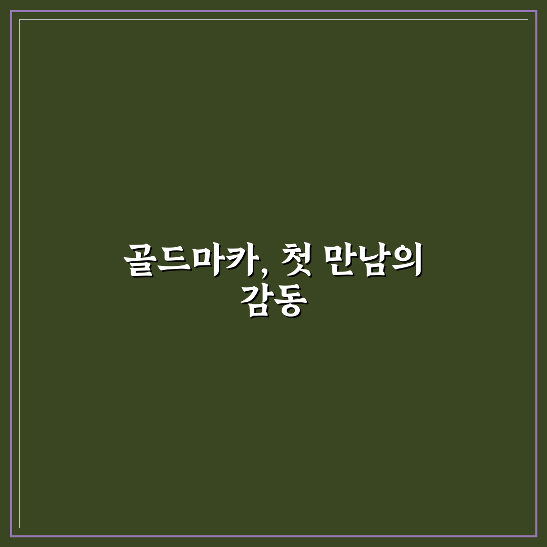 골드마카 효능 직접 써보니 몸 상태 변화 체감됐어요