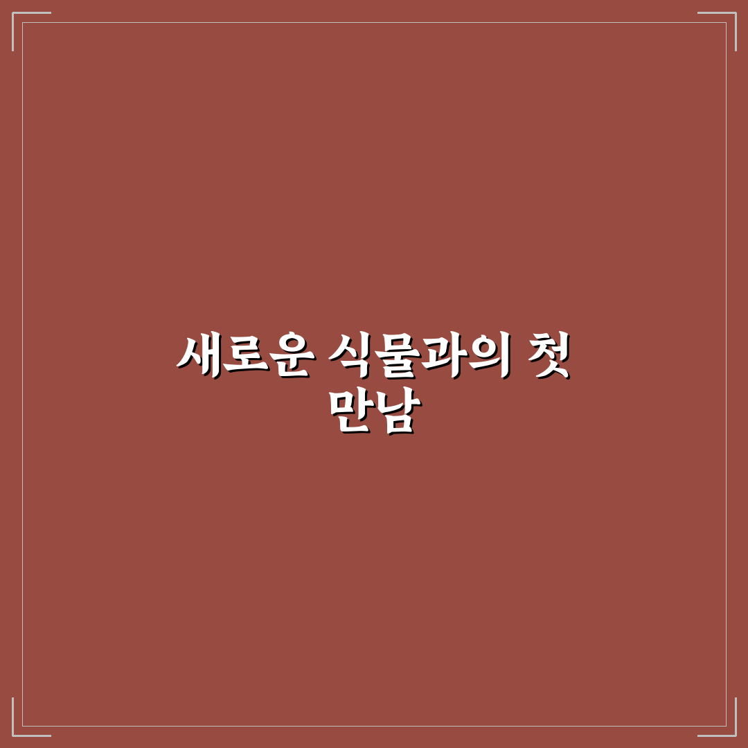 아스파라거스 미리오클라두스 사용 후기, 직접 써보니