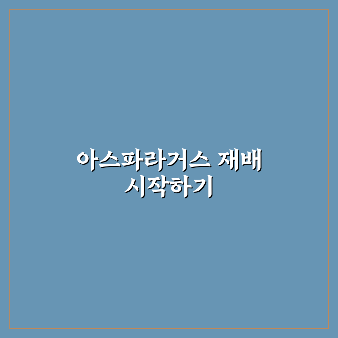 아스파라거스 모종 심는 시기 직접 알아보니 좋은 점과 어려움