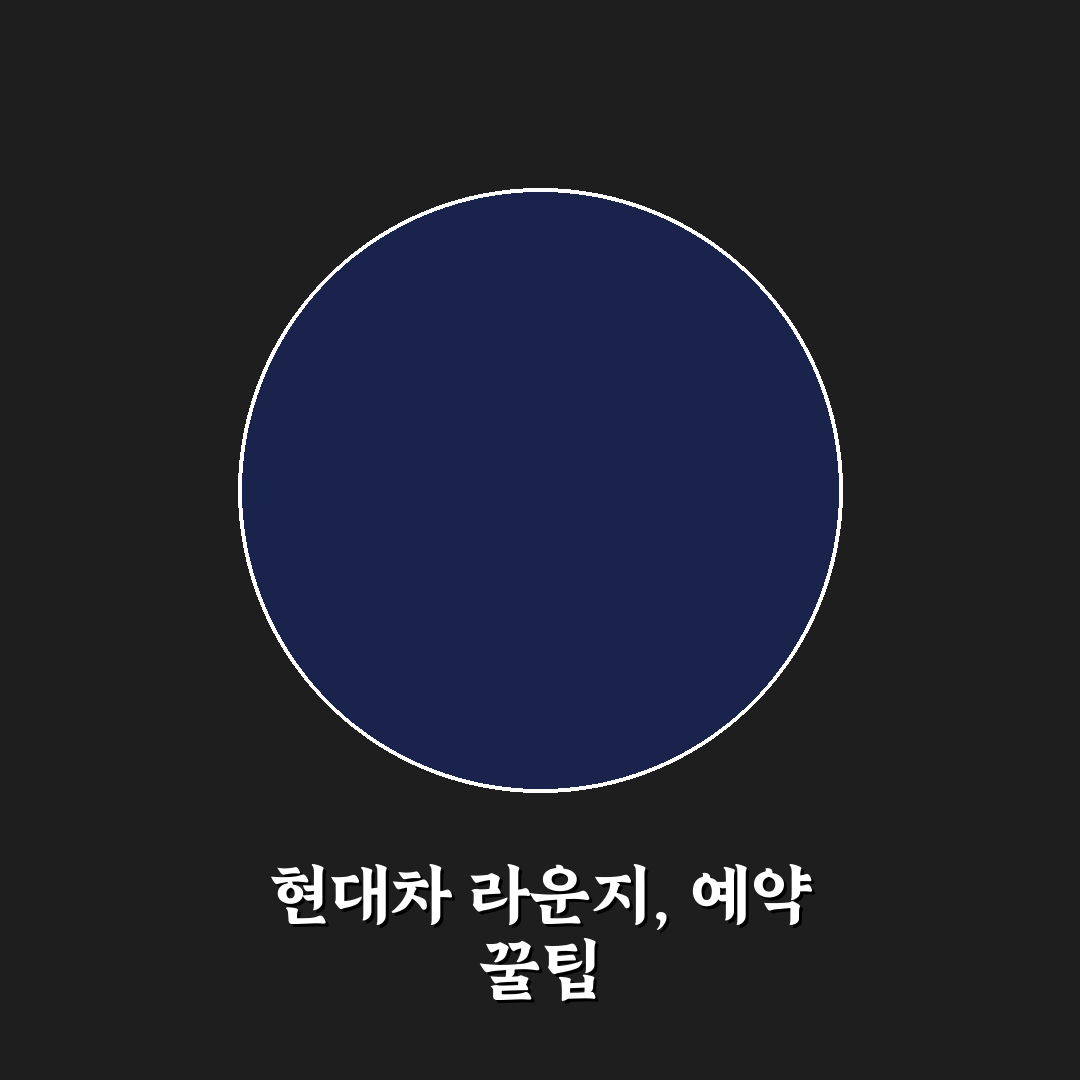 현대차 드라이빙 라운지 예약 전 알아둘 핵심 정보 5가지 체크포인트 총정리