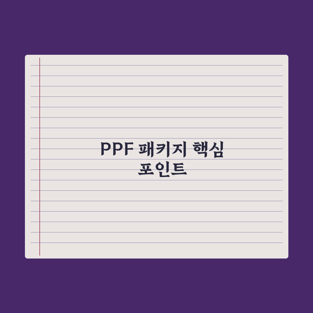 PPF 생활 보호 패키지 가격과 꼭 필요한 부위 5가지 체크포인트 총정리