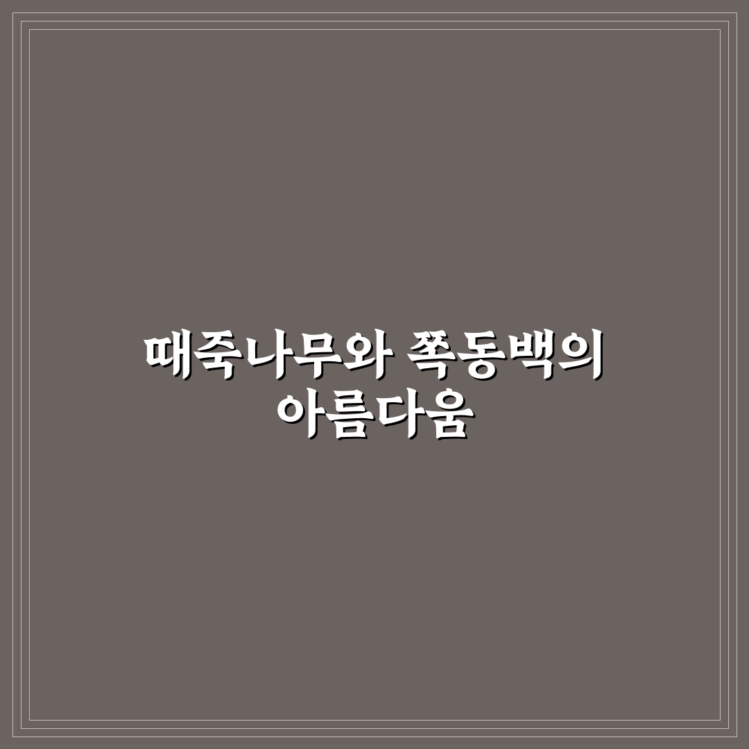 때죽나무 쪽동백 차이, 직접 알아보니 달랐던 점