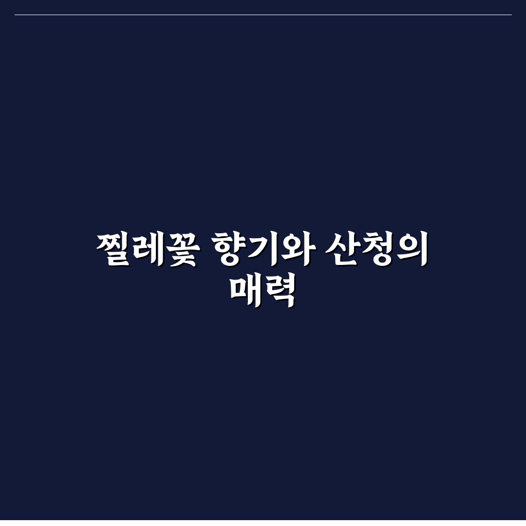 산청 찔레꽃 축제 방문 후기, 직접 가보니 풍경과 분위기
