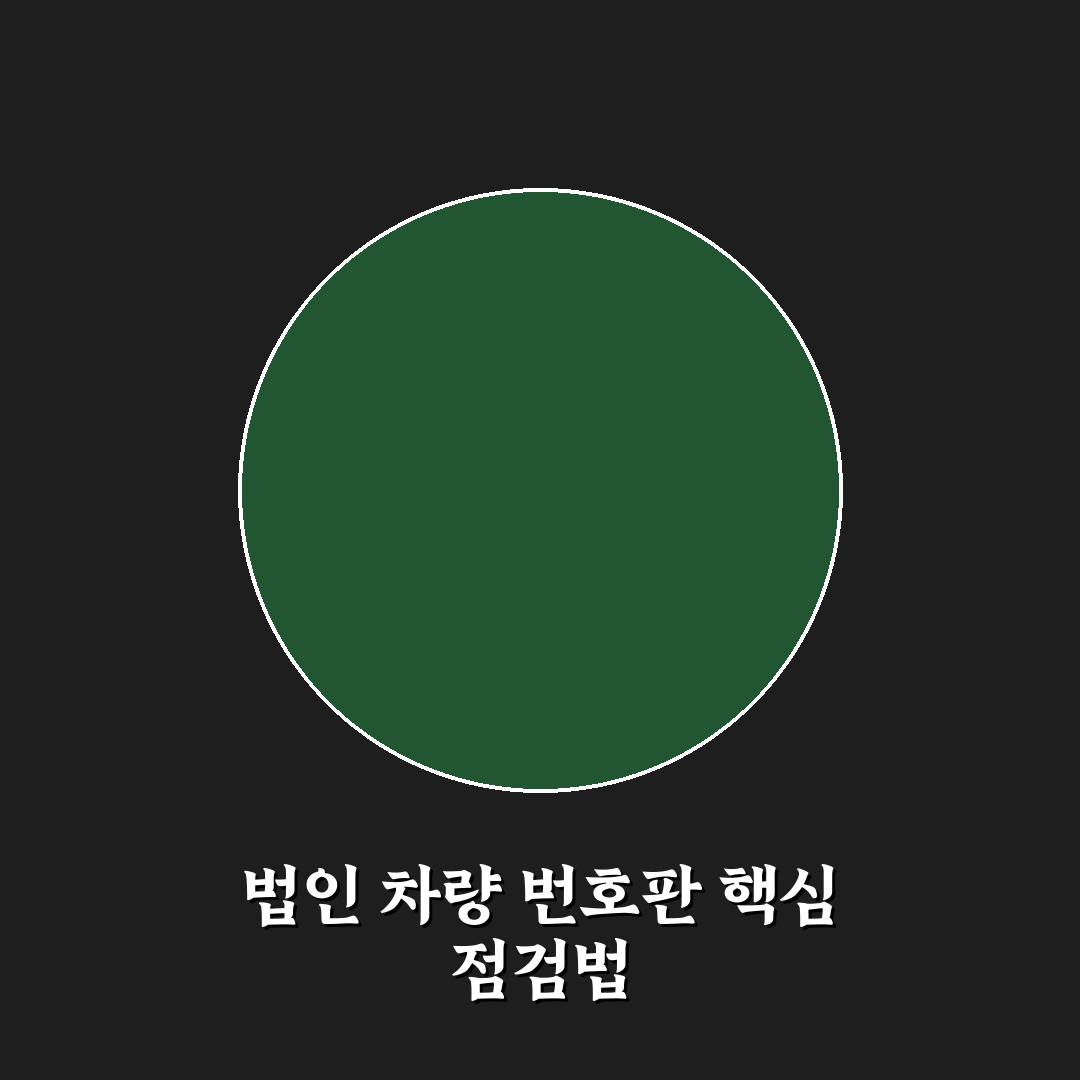 법인차 전용 번호판 규정과 적용 대상 5가지 핵심 체크포인트 총정리
