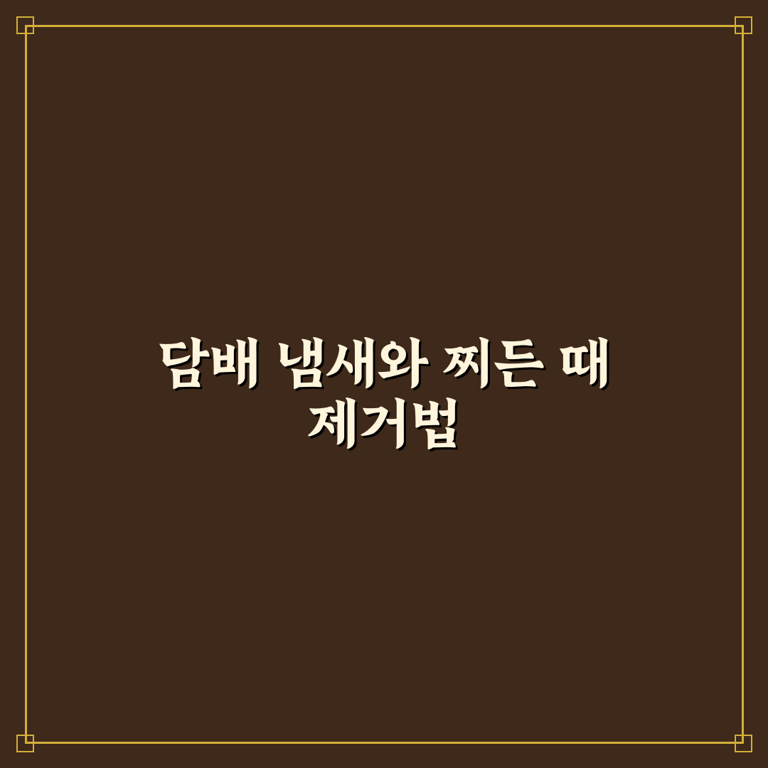 담배 냄새와 찌든 때 제거 가능한지 판단 기준 5가지 핵심가이드