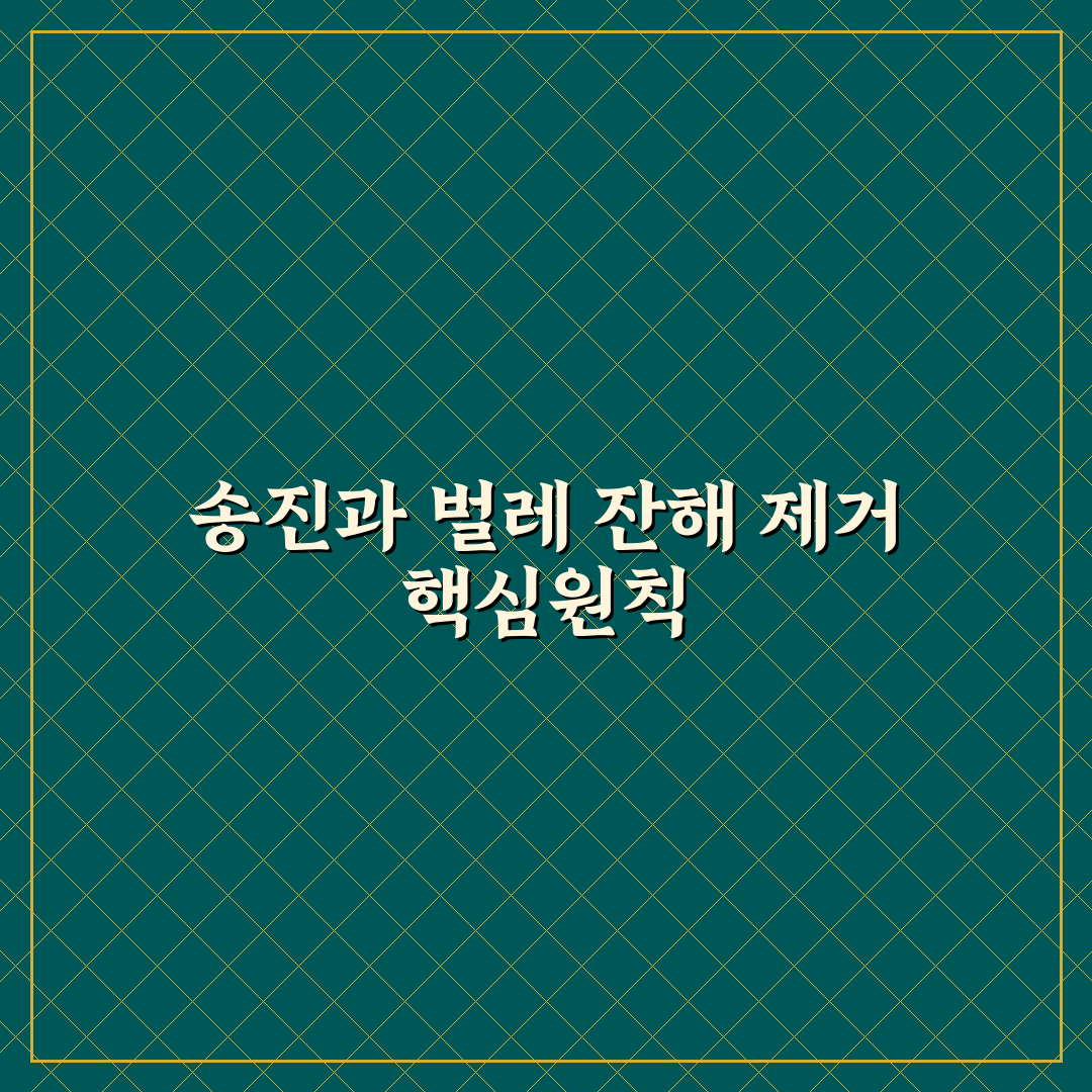 송진과 벌레 사체 지우기 전에 하면 안 되는 실수 5가지 핵심가이드