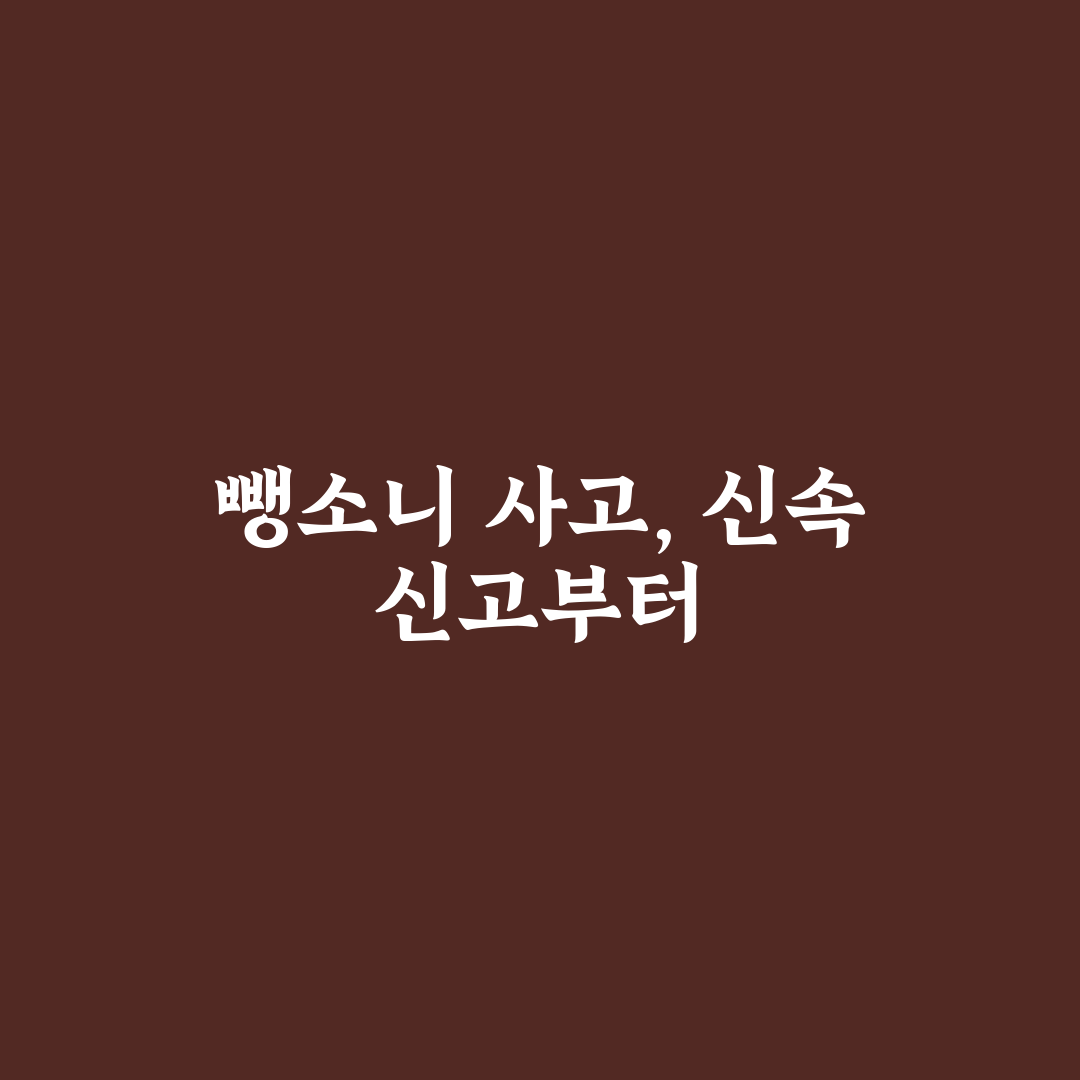 뺑소니 사고 보상 받는 법과 신고 후 절차 5가지 핵심가이드