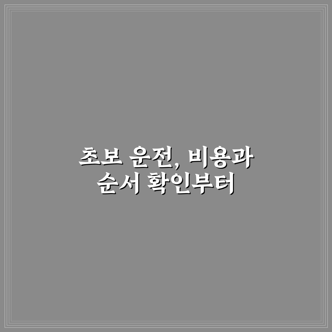 초보 운전 연수 비용 비교와 효과적 학습 순서 5가지 핵심가이드