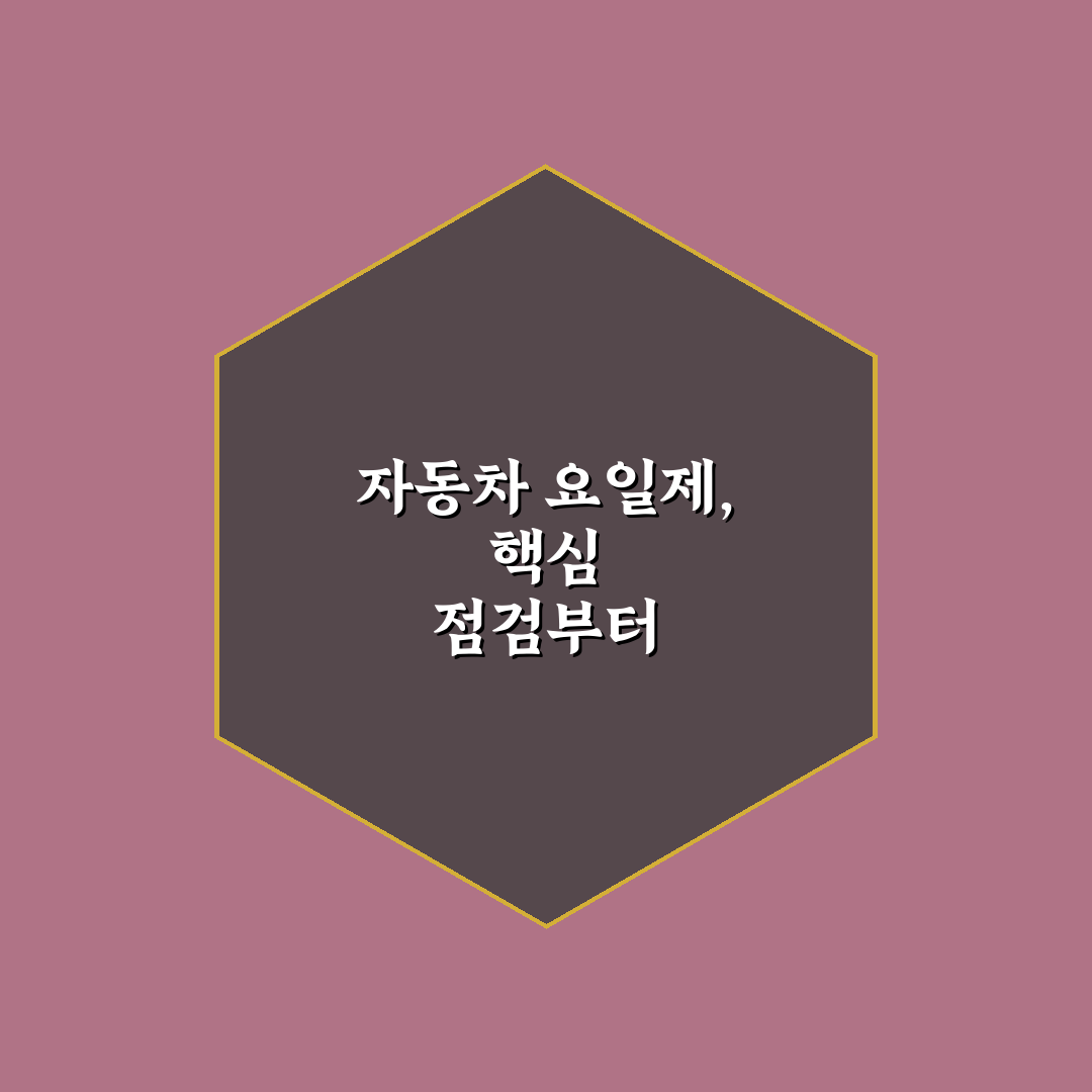 자동차 요일제 혜택 사라졌는지 지역별 운영 현황 5가지 체크포인트 총정리